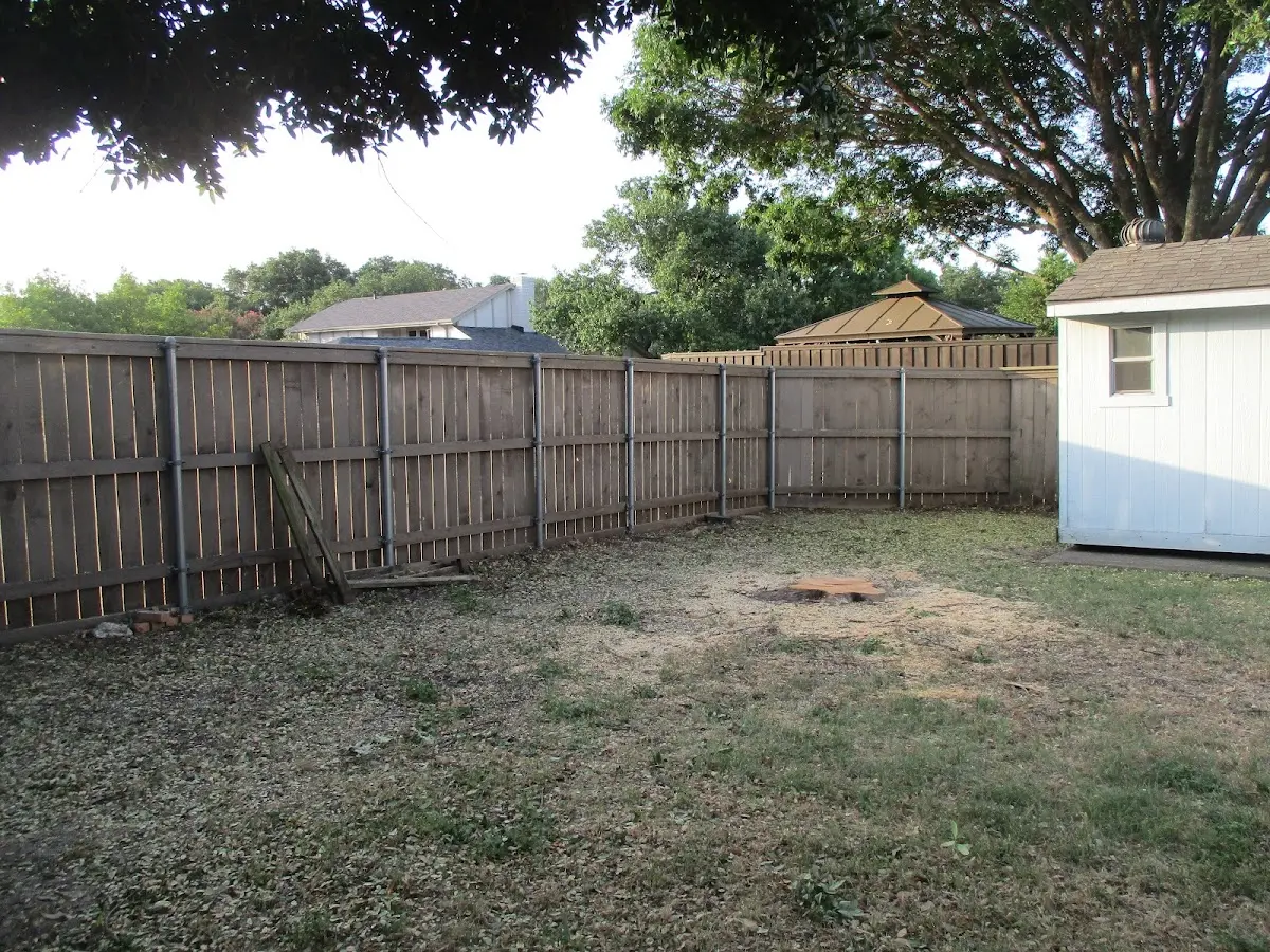 Cleared yard after professional tree removal in Richmond